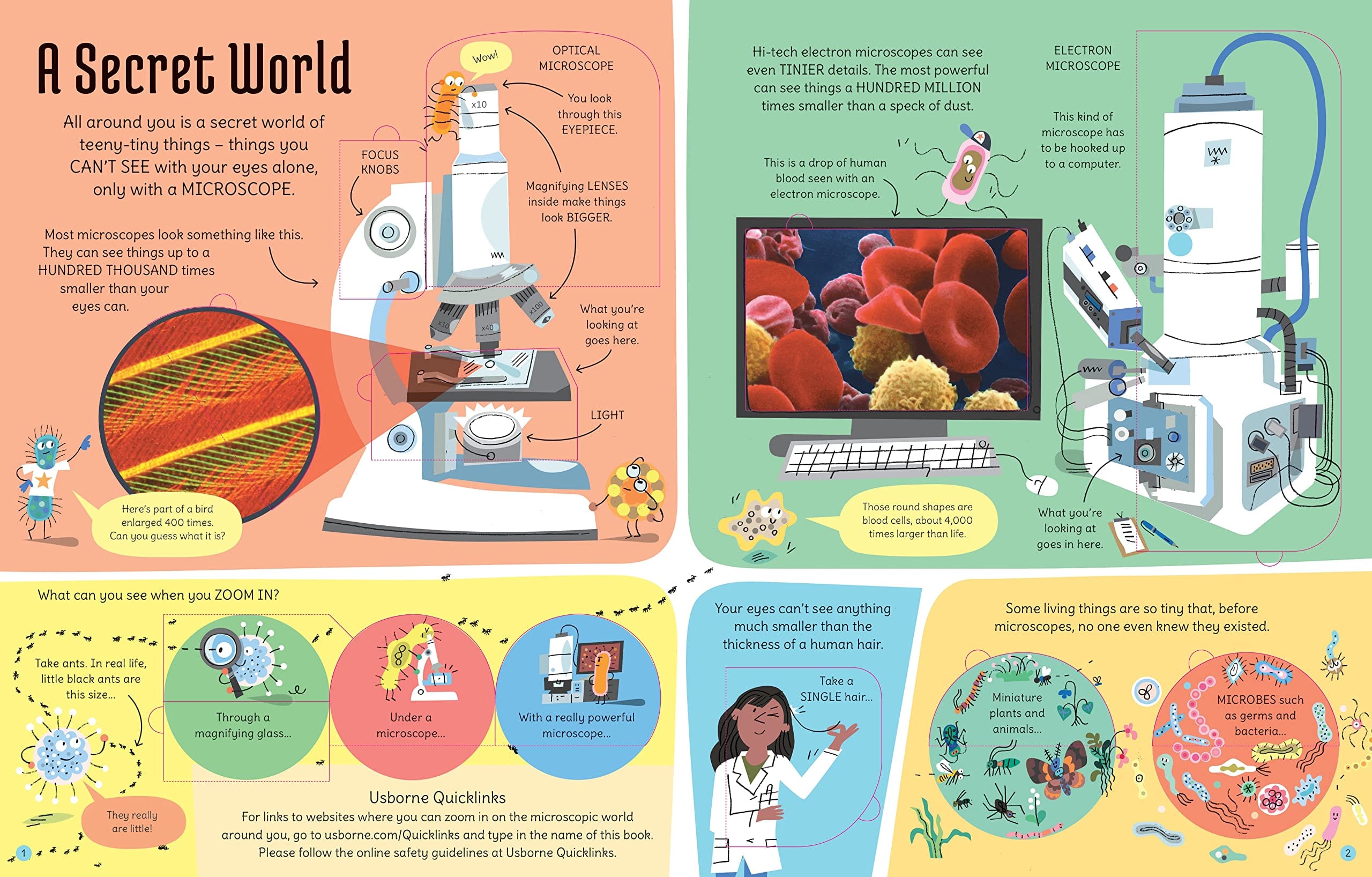 Tresor Microscopio Digitale Femto Polar con Libro Educativo