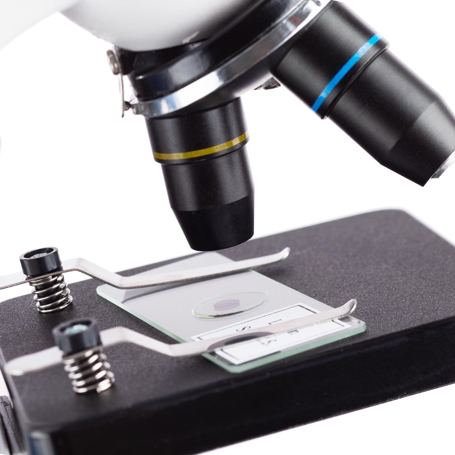 Compound Microscope with Slide
