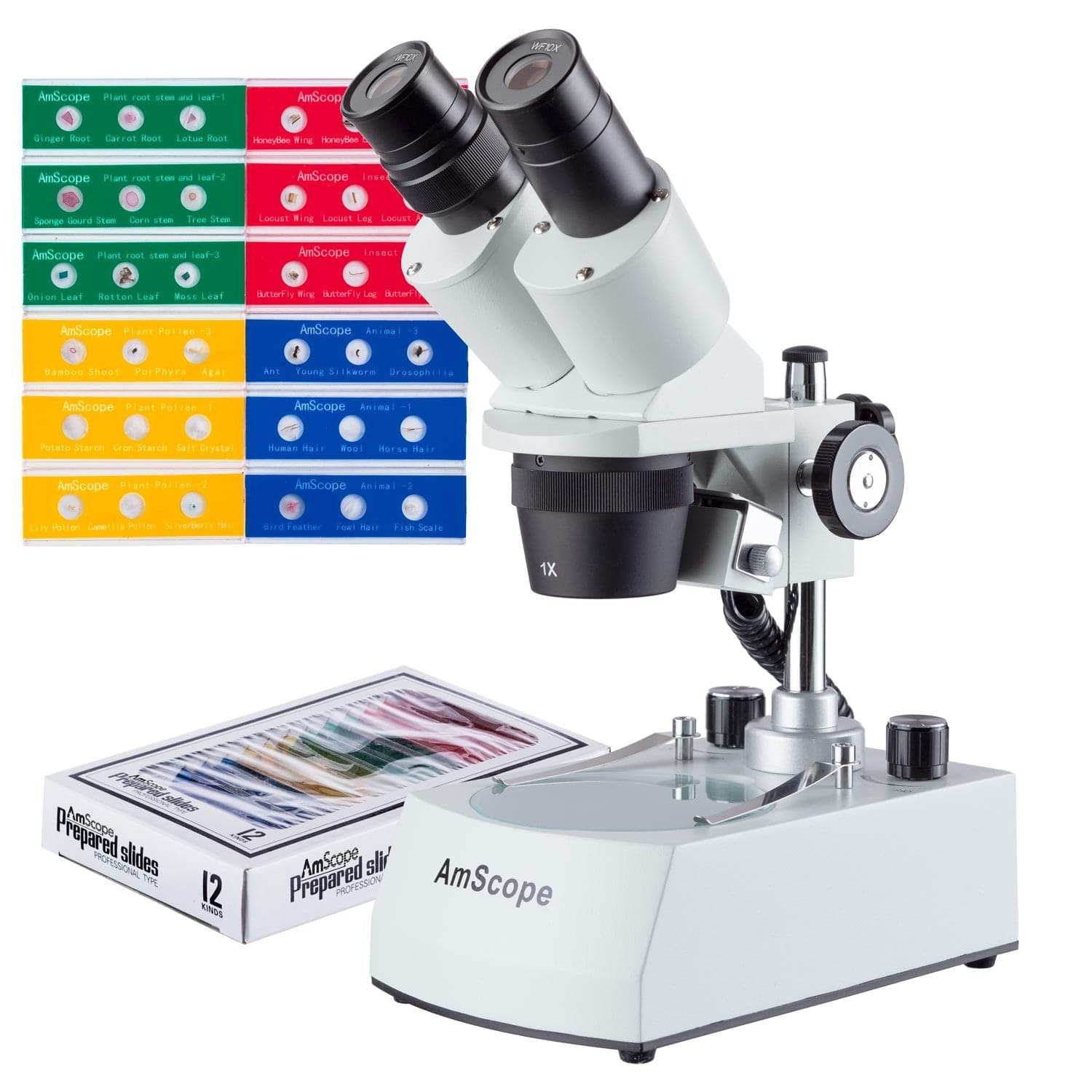 AmScope SE306 Series Compact Multi-Lens Binocular Stereo Microscope 20