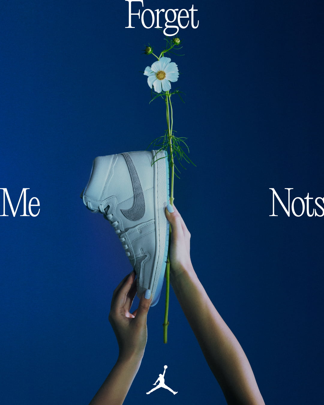 Forget-me-nots × Jordan Air Ship Pop Up Store - FROM BUD TO FLOWER ...