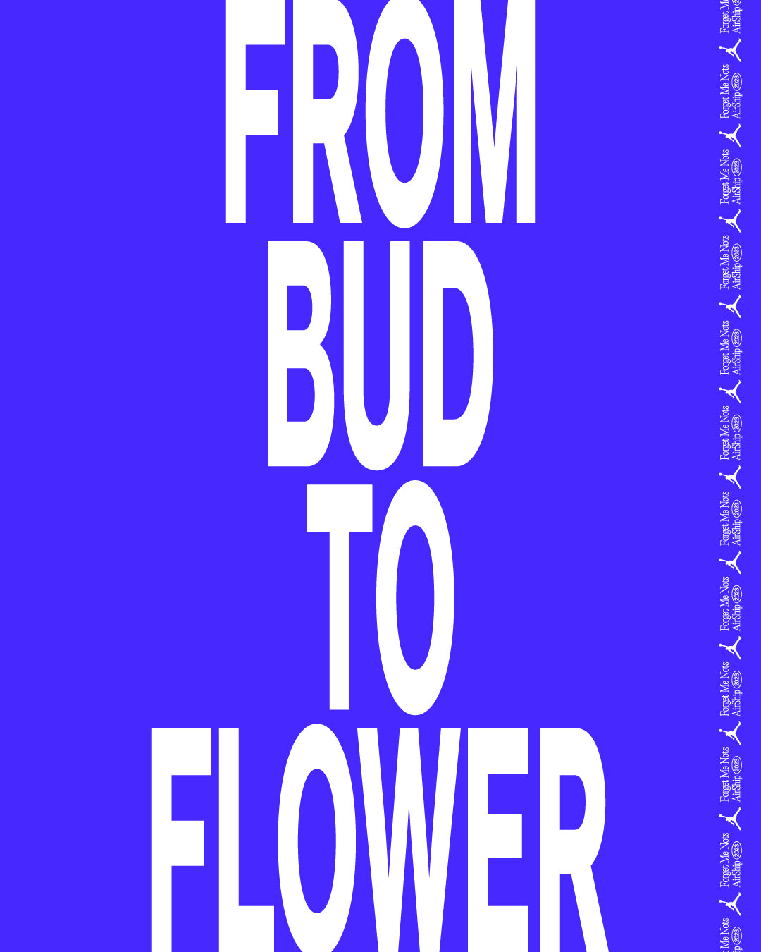 FROM BUD TO FLOWERのタイトル