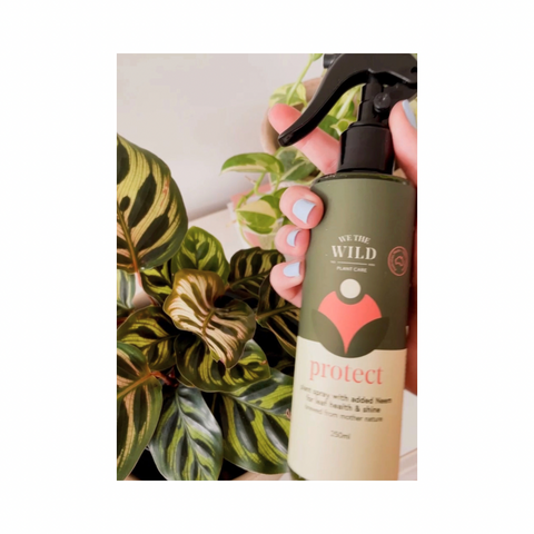 We The Wild Protect Spray