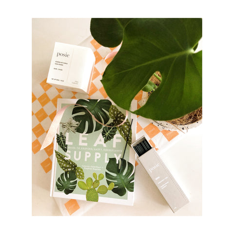 Luxe Leaf Plant Gift Hamper