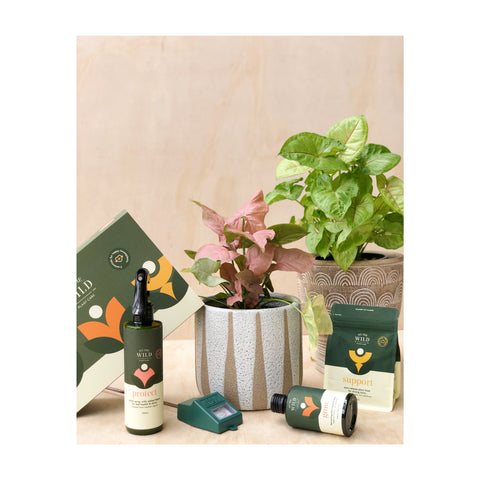 We the Wild Plant Care Kit