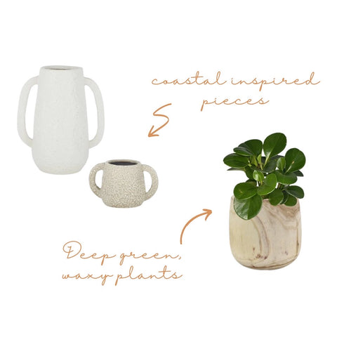 New Med 2022 Homewares Collection Styling Tips - Coastal pieces and deep green, waxy indoor plants