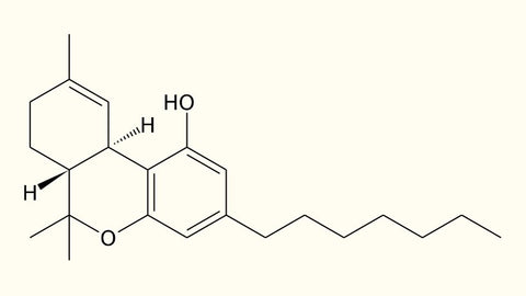 thc-p molecule