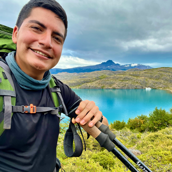 Bastones de trekking Pack 2 Ajustable y Resistente – Wild Travel Chile