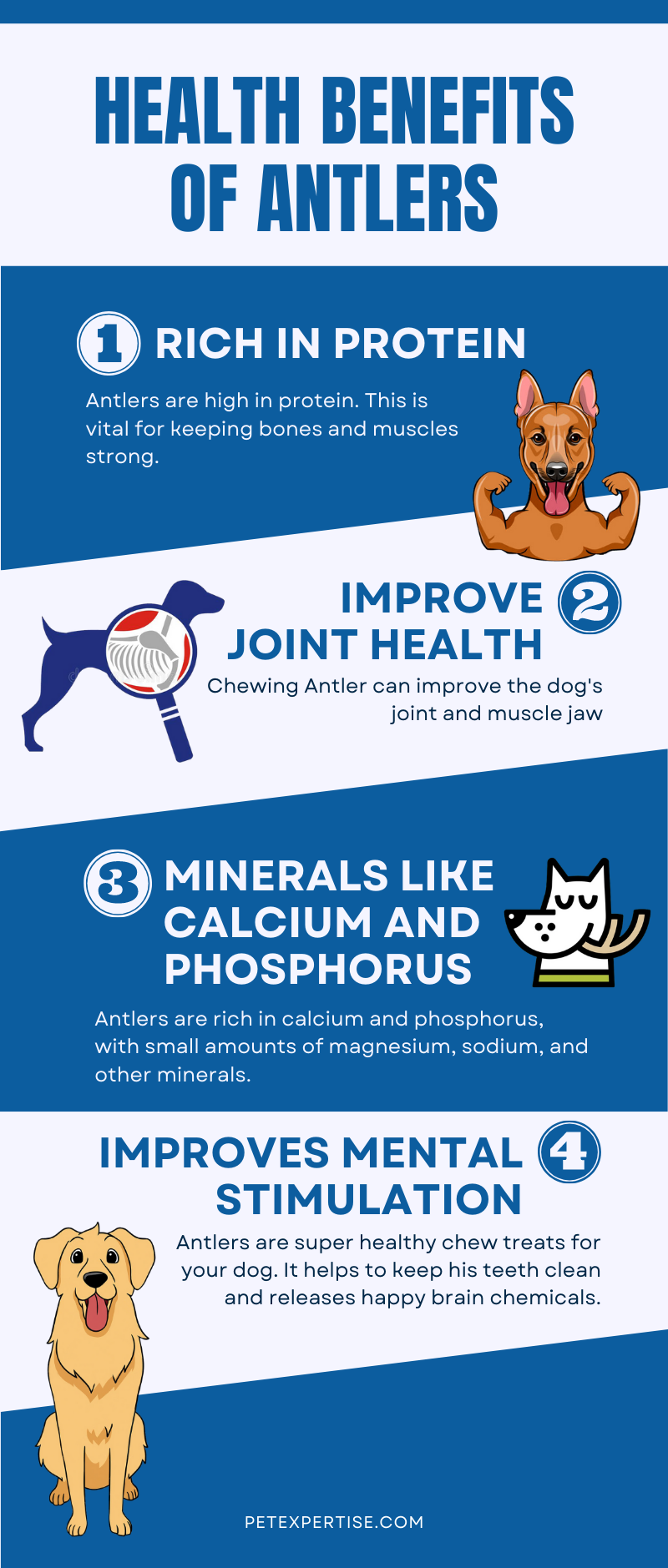 Health benefits of antler chews