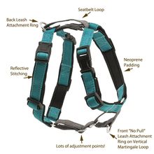 3 in 1 Harness