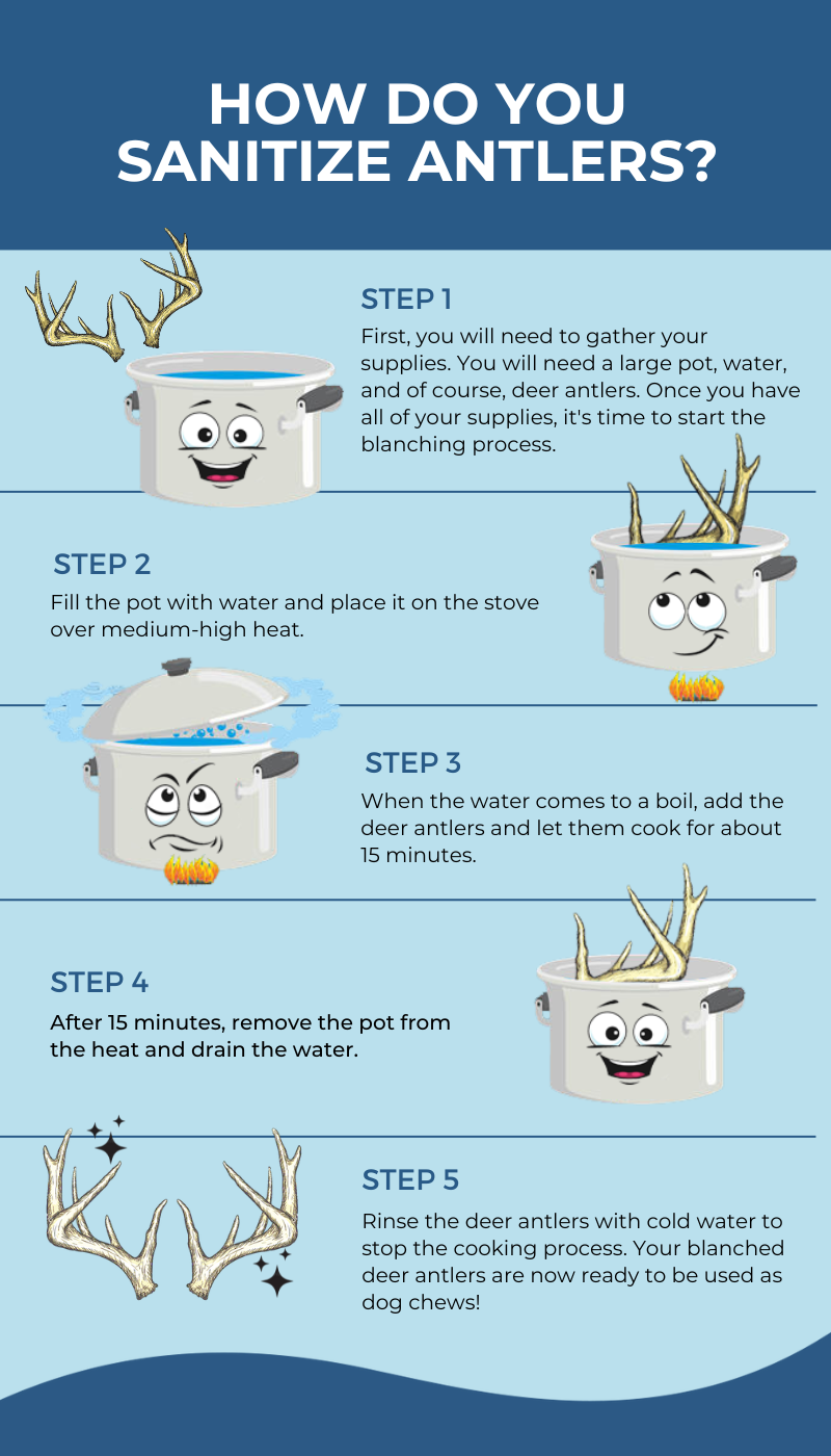 Antler Sanitizing Process Infographic