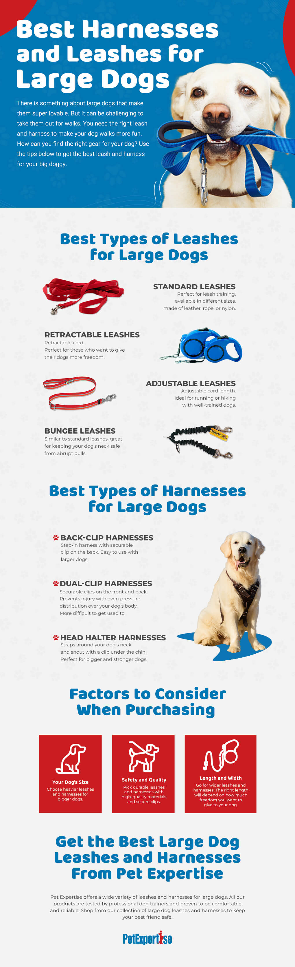 Best Large Dog Harnesses and Leashes Infographic