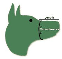 Muzzle Sizing Image