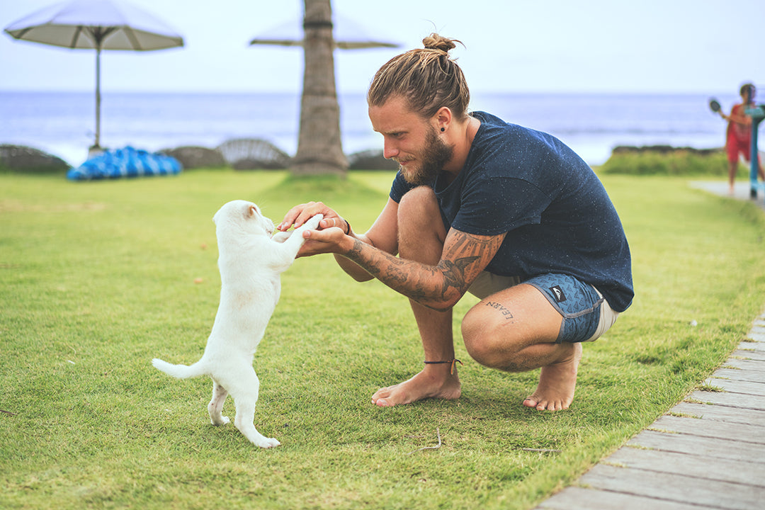 Man petting a white puppy