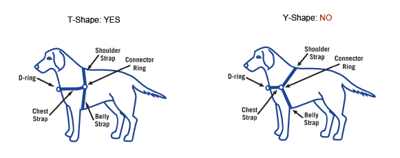 Easy Walk Harness Fit Diagram