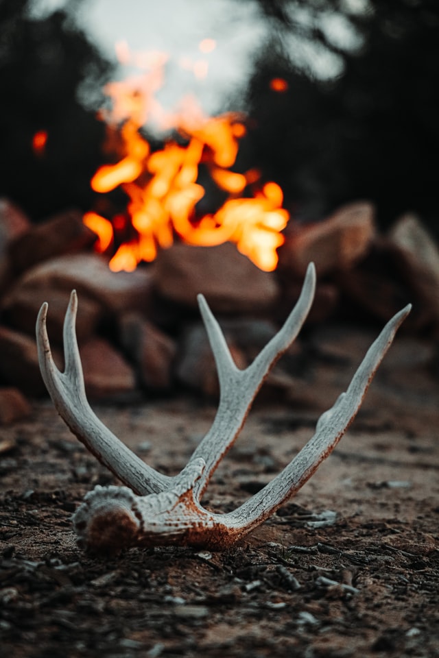 Antlers with campfire in the background