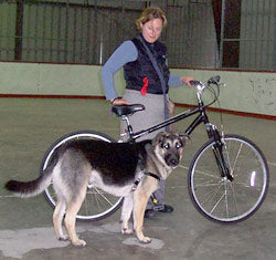 Dog Biking