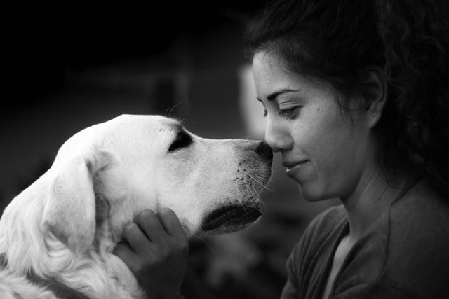 Dog and women touching noses