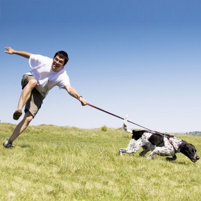 Dog Pulling on the Leash