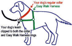 Easy Walk harness guide