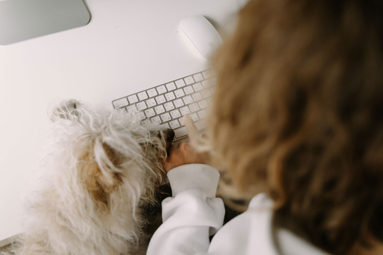 Small white dog trying to “help” their owner type