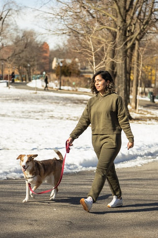 A woman walks her dog in a park during winter