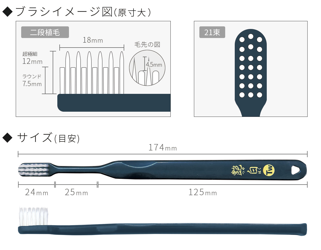 艶白ツイン、ツイン、二段植毛、二段植毛歯ブラシ、歯ブラシ、ハブラシ、虫歯、虫歯予防、歯周病、歯周病予防、口臭、口臭予防、歯肉炎、炎症予防、歯槽膿瘍、歯肉の炎症、歯周ポケット、柔らかめ歯ブラシ、低刺激、超先細毛、テーパー毛、ラウンド毛、歯間部、歯頚部、歯周ポケット