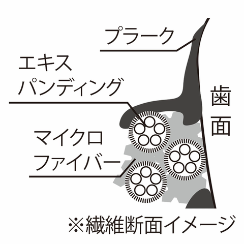 艶白 デンタルフロス Df 50m抗菌ケース付き – お口の専門店