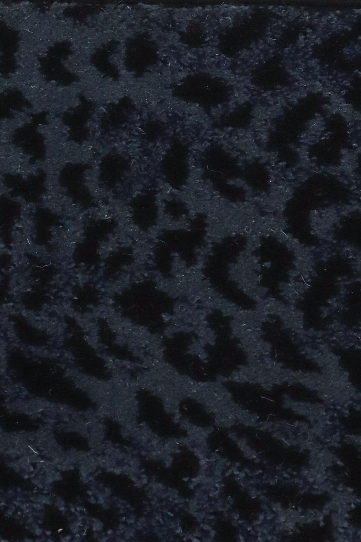 Black Leopard Fabric -  Canada
