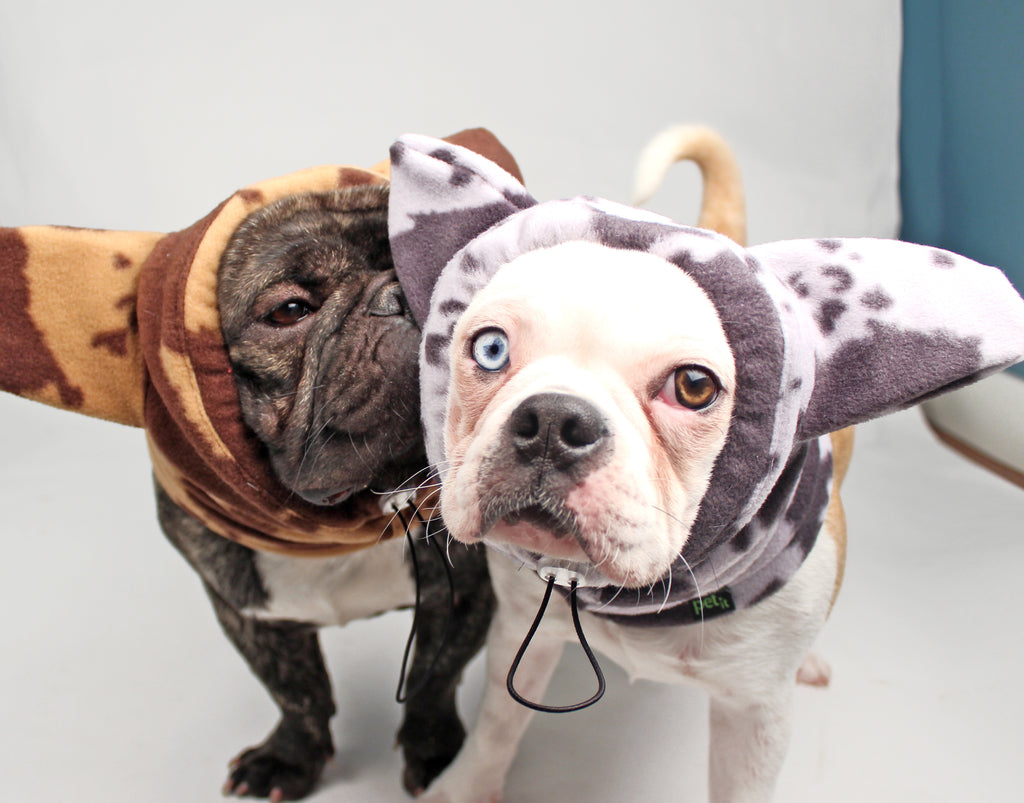 how to make dog ear warmers for dogs