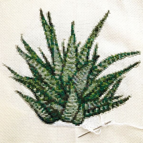howarthia houseplant cross stitch pattern Kate Broughton
