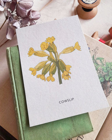 cowslip postcard flower club