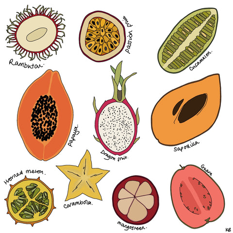 exotic tropical fruit illustrations by Kate Broughton