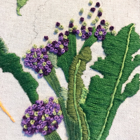 purple sprouting broccoli embroidery with French knots