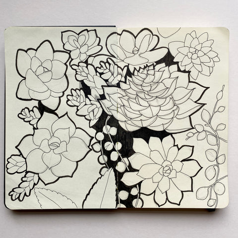 Succulent drawings, pen and pencil outlines, by Kate broughton