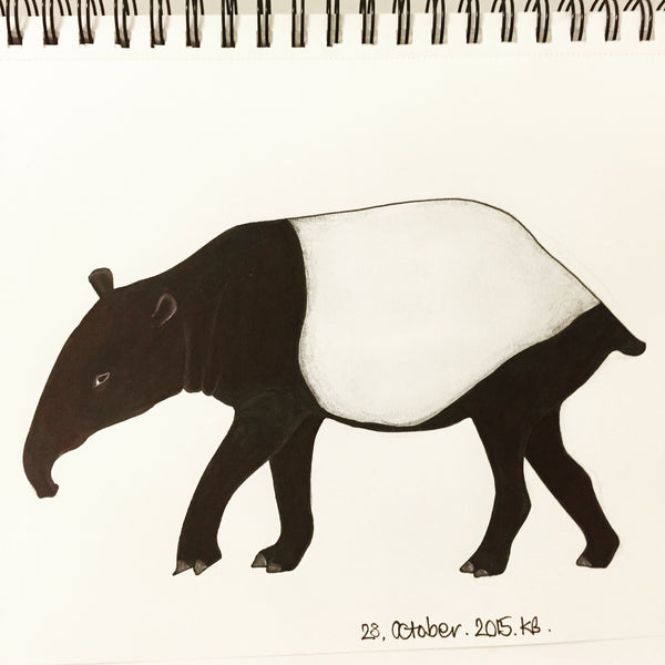 tapir drawing sketchbook by Kate Broughton