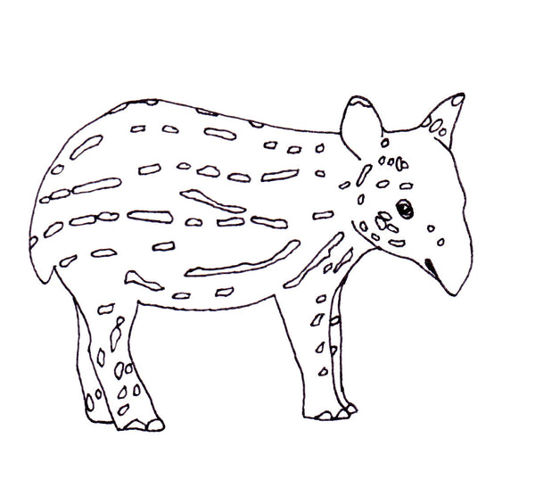 tapir baby sketch by Kate broughton 