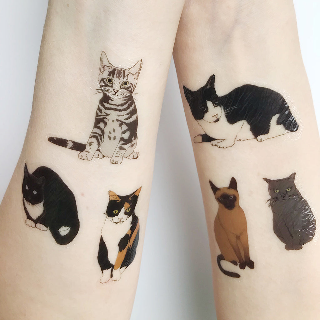 Nontoxic temporary tattoos Cats  Vert imaginaire