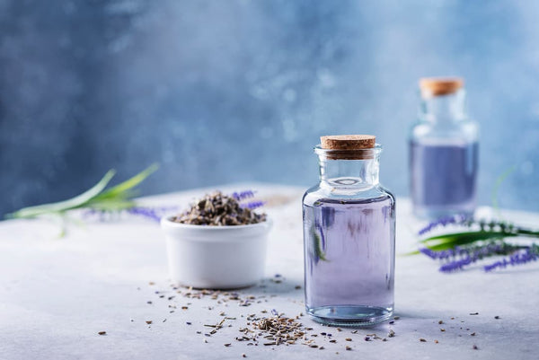 essential oil of lavender for anxiety 