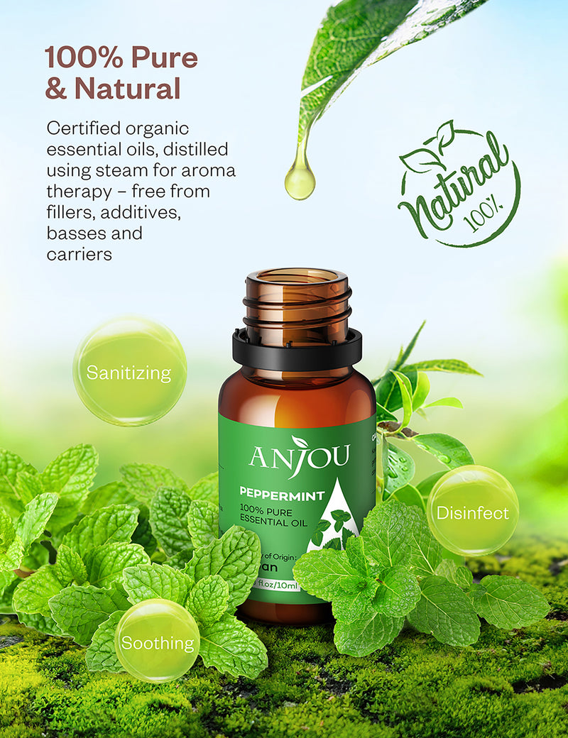 Aromatherapy Essentials - Nugget Markets Daily Dish