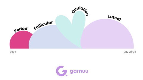The Luteal Phase of Your Menstrual Cycle – Garnuu
