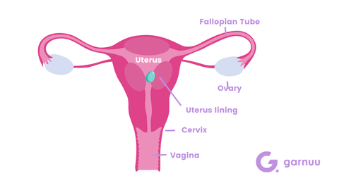 The Luteal phase starts after ovulation and prepares the body for the next  menstrual cycle. Embrace this phase of rest and relax into y