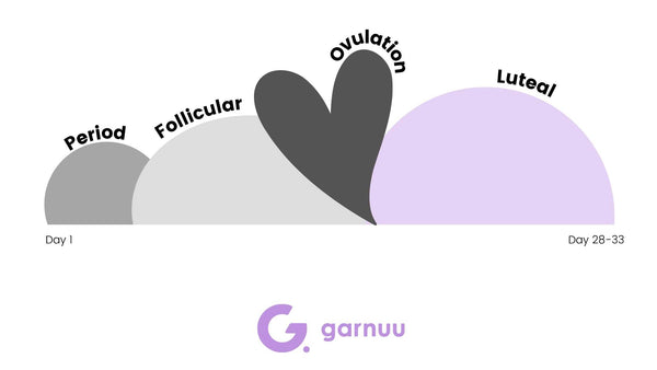 Menstrual Cycle Phases: The Hormones, The Purpose, The Phases – Garnuu