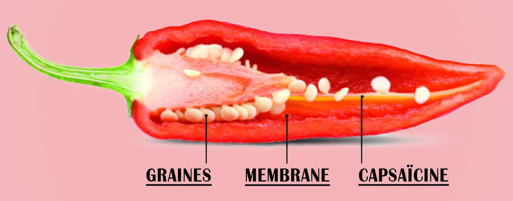 Quelle différence entre piment et poivron ? - Curieux!