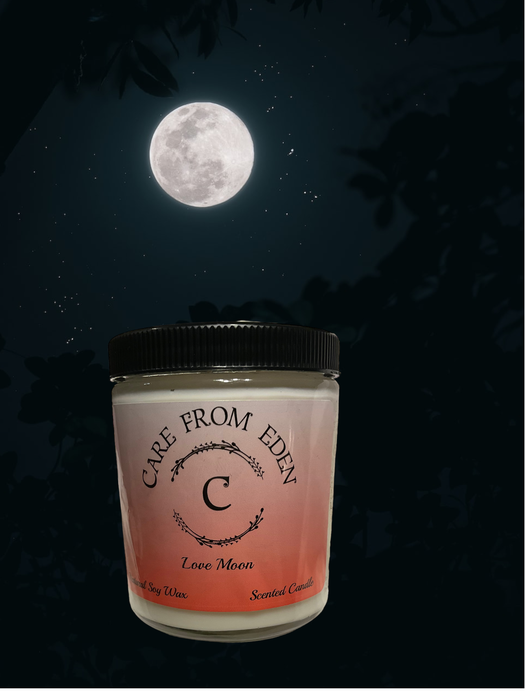 Double Wick Scented Candle:Love Moon 7 oz