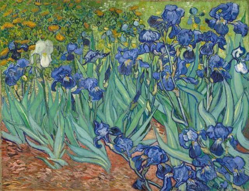 Dipingere con i numeri Dipinti famosi – Tagged van gogh– Figured'Art