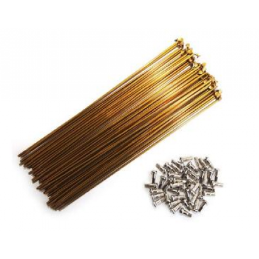 188 STAINLESS SPOKE 40PK GOLD