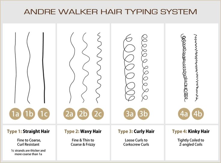 Méthode de classification André Walker