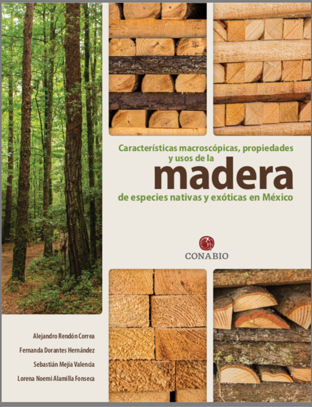 Madera de especies nativas y exóticas en México – ReforestaShop