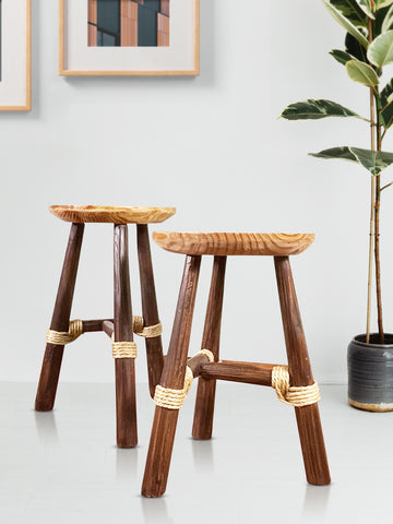 wood-plant-stool