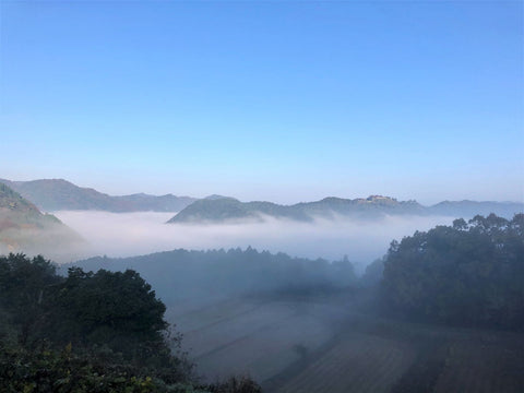 津和野の朝霧